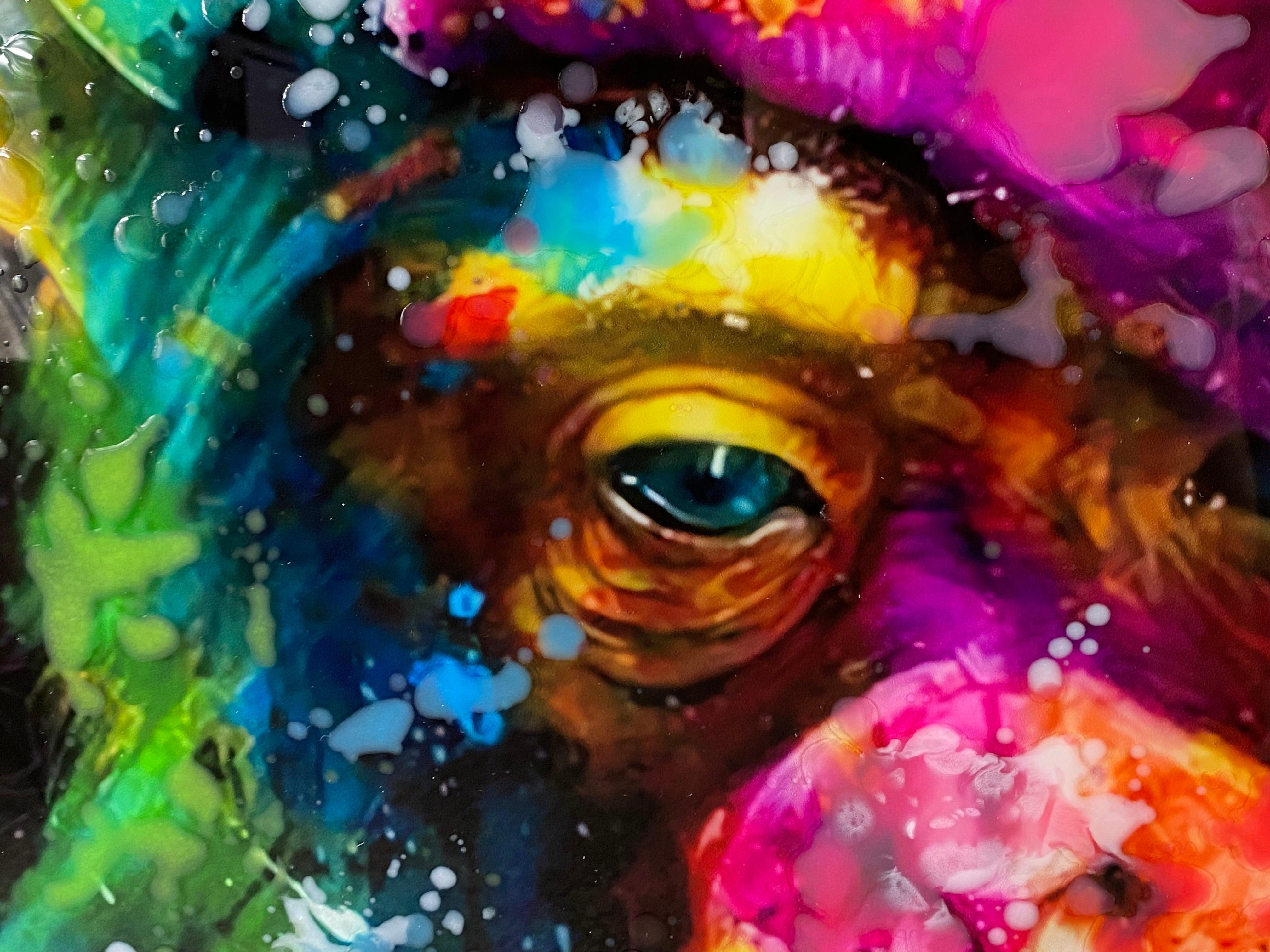 Colourful Contemplation