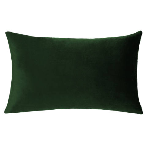 If You Can't Say Anything Nice...Sit By Me Needlepoint Cushion