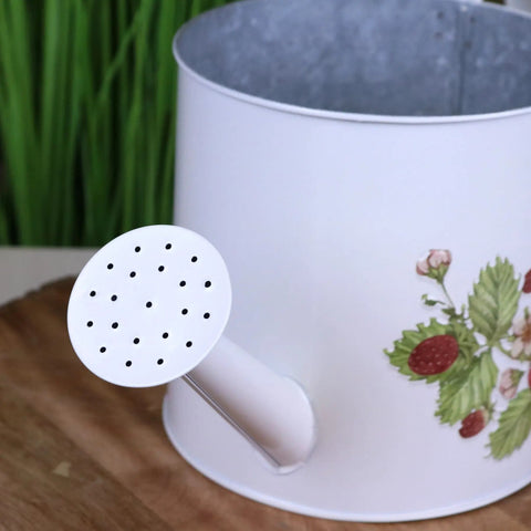 Thaniya Strawberry Field Watering Can Planter