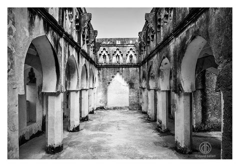 David Ballam - ZAN_50