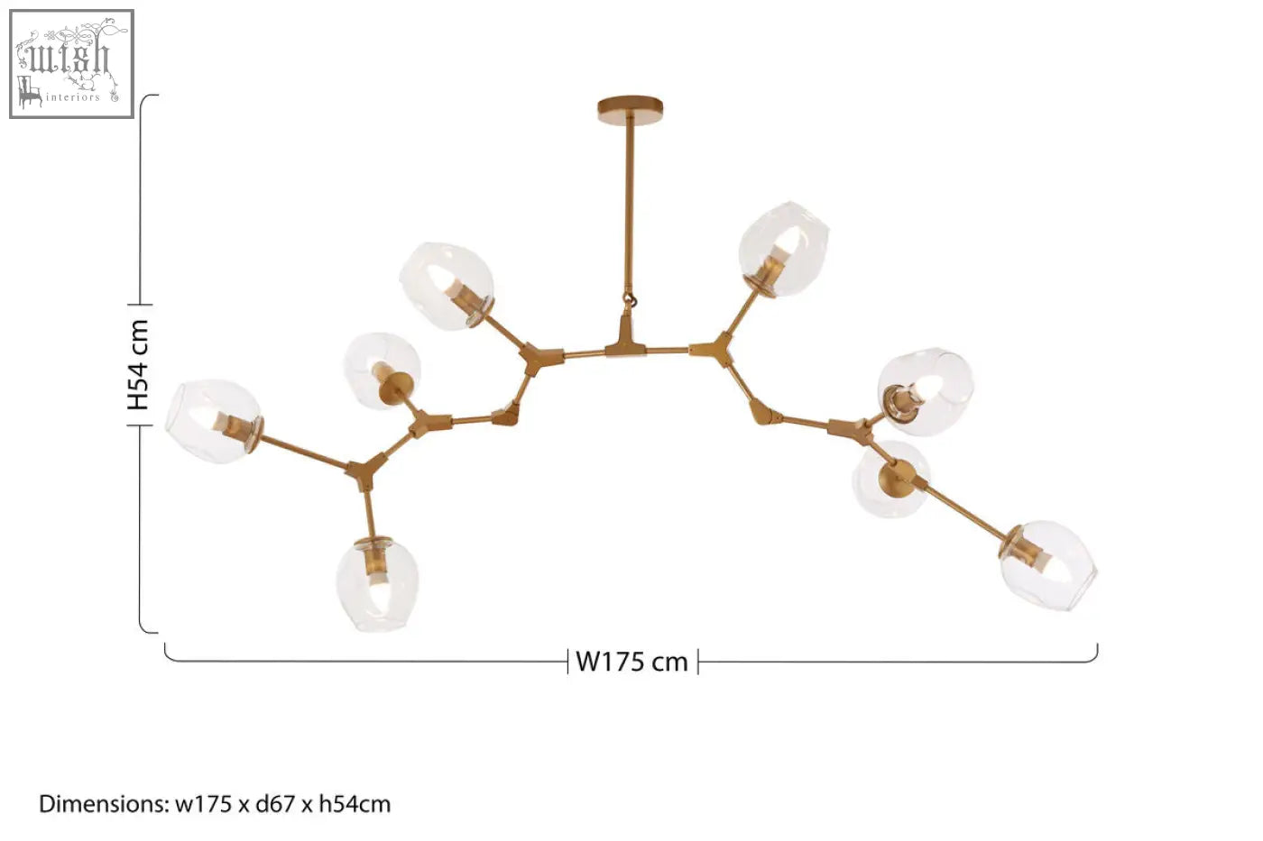 Abira Light Gold 8 arm pendant lamp with brass-toned branch design and clear glass globe shades in light gold color