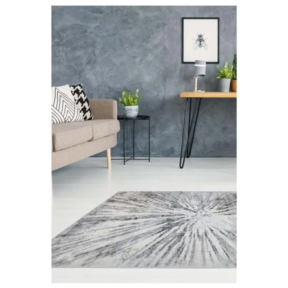 Abstract Burst Grey Rug | D149A - Rugs