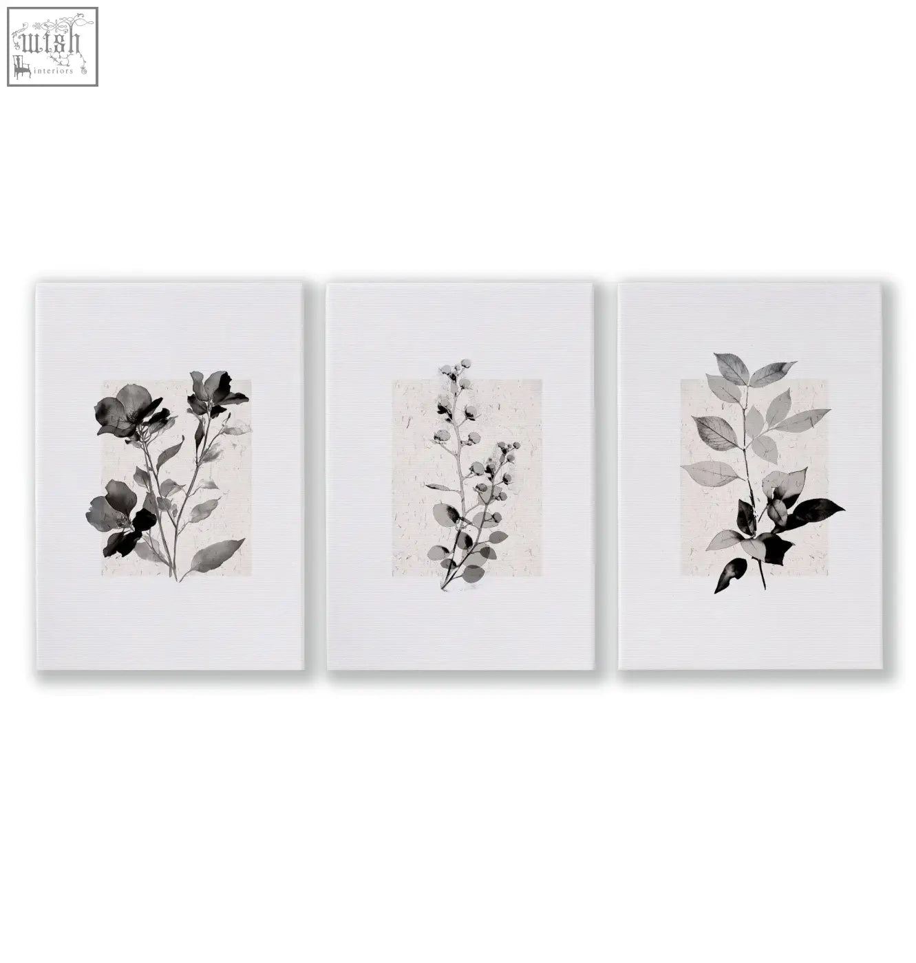 Set of three white framed botanical wall art prints featuring monochrome ink botanical studies on textured paper