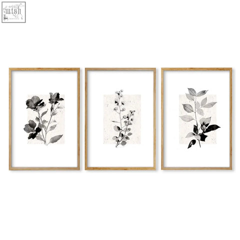 Set of three minimalist botanical studies wall art prints in ivory and grey with light wood frames on textured paper