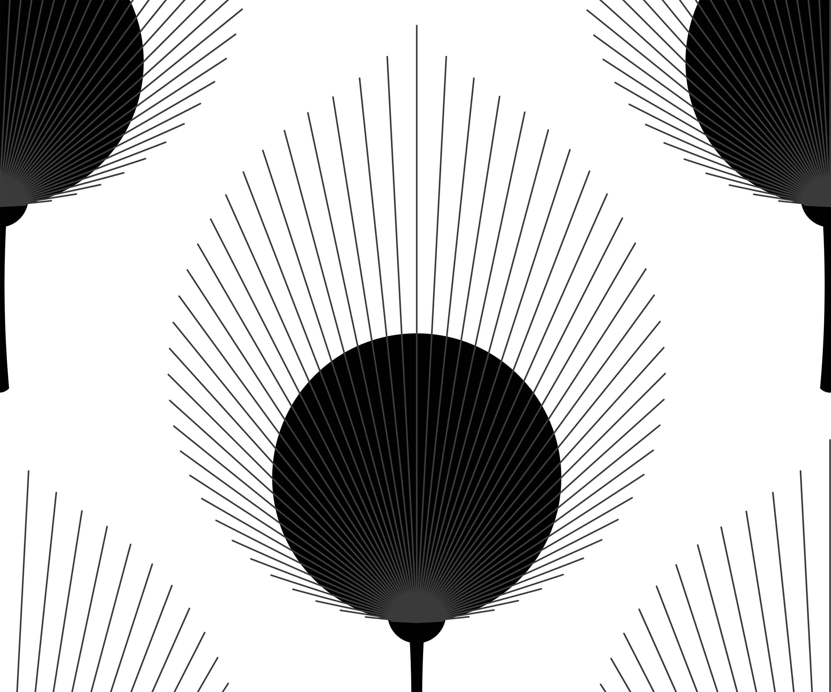 Ace product featuring a black fan-shaped graphic with radiating lines on a white background for stylish appeal
