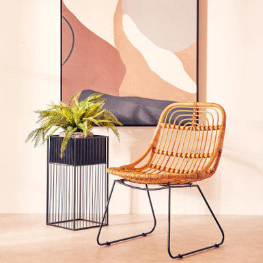 Woven rattan chair with black metal frame next to alden floor standing planter for stylish indoor decor