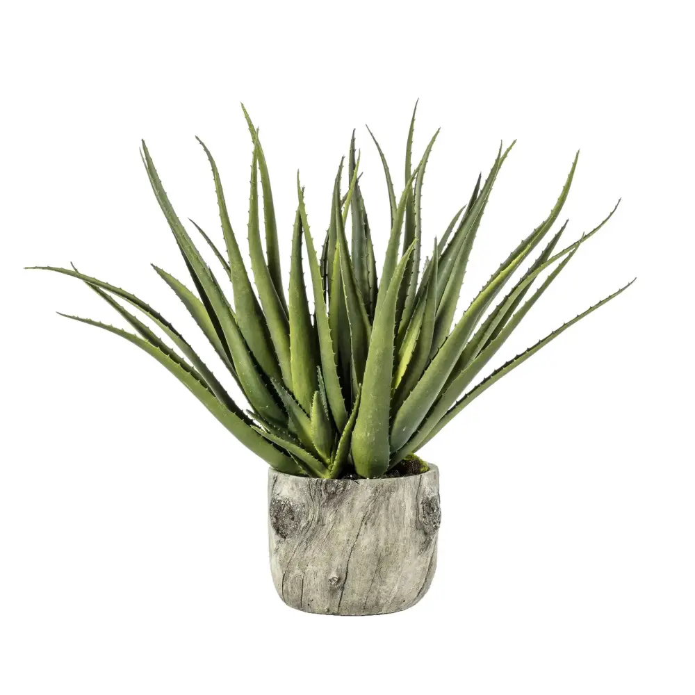 Aloe Plant with Bark Pot 53cm - artificial plant