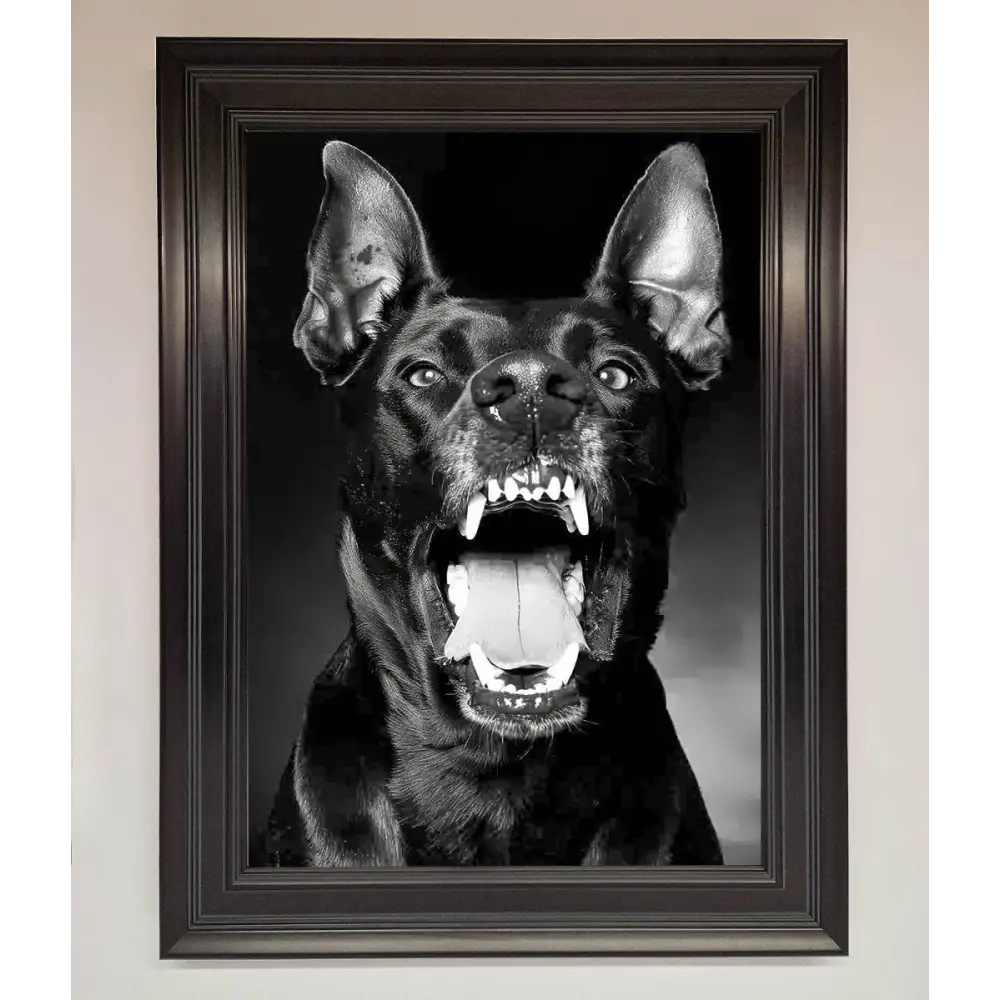 Angry Doberman Dog Framed Wall Art - A1 (59.4 x 84.1 cm) / Matt Black - Framed Print