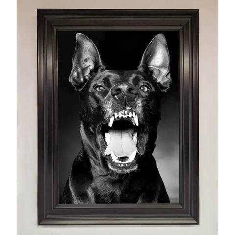 Angry Doberman Dog Framed Wall Art - A1 (59.4 x 84.1 cm) / Matt Black - Framed Print