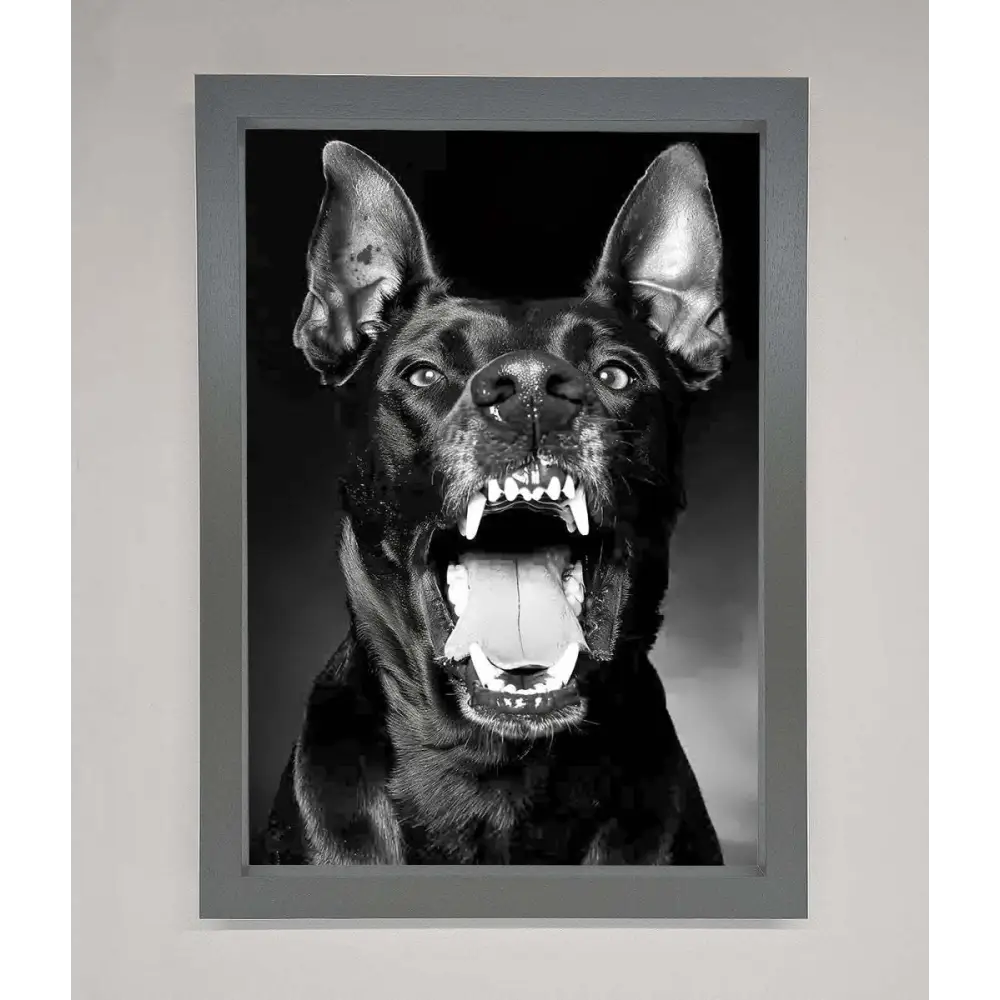 Angry Doberman Dog Framed Wall Art - A3 (29.7 x 42 cm) / Dark Grey - Framed Print