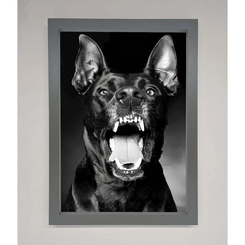 Angry Doberman Dog Framed Wall Art - A3 (29.7 x 42 cm) / Dark Grey - Framed Print