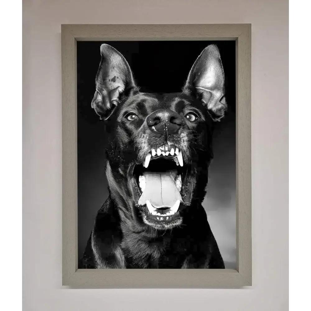 Angry Doberman Dog Framed Wall Art - A3 (29.7 x 42 cm) / Grey - Framed Print