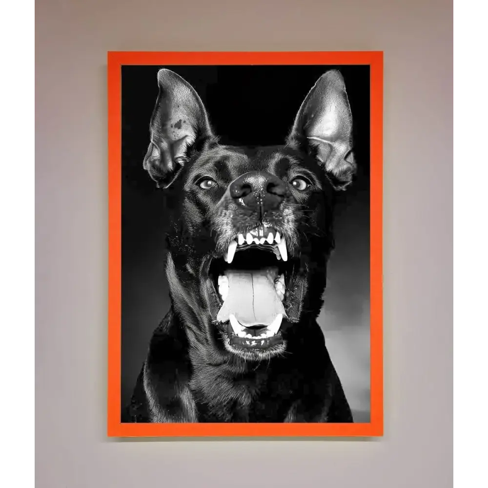 Angry Doberman Dog Framed Wall Art - A3 (29.7 x 42 cm) / Neon Orange - Framed Print