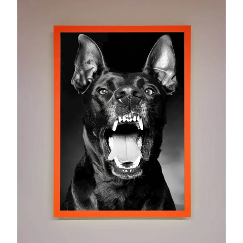 Angry Doberman Dog Framed Wall Art - A3 (29.7 x 42 cm) / Neon Orange - Framed Print