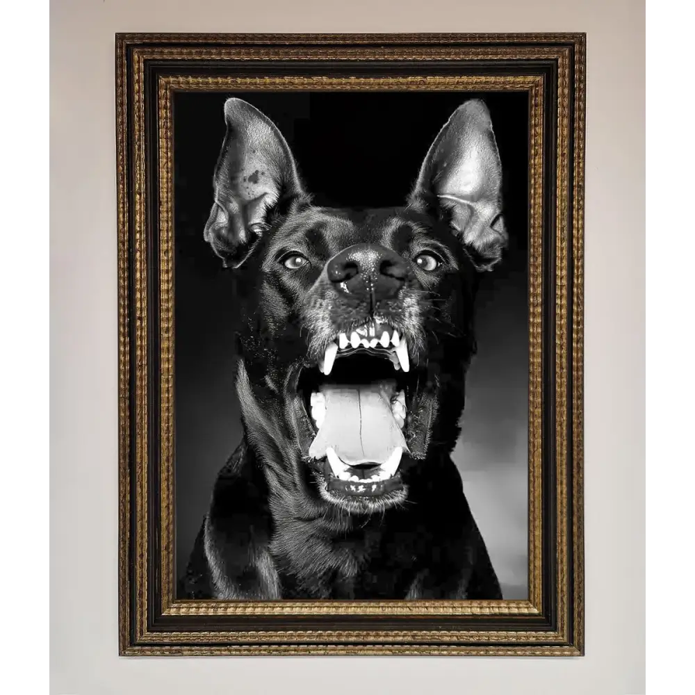 Angry Doberman Dog Framed Wall Art - A3 (29.7 x 42 cm) / Ornate Gold Black - Framed Print