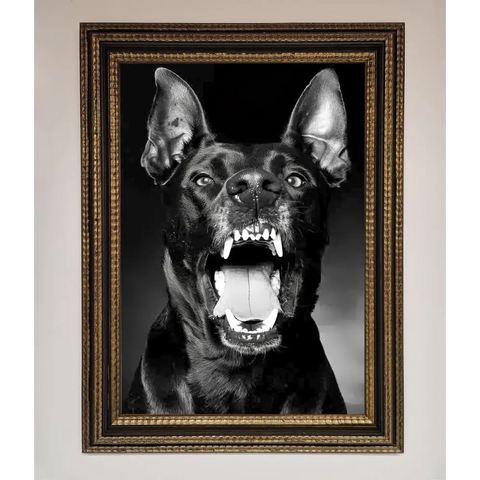 Angry Doberman Dog Framed Wall Art - A3 (29.7 x 42 cm) / Ornate Gold Black - Framed Print