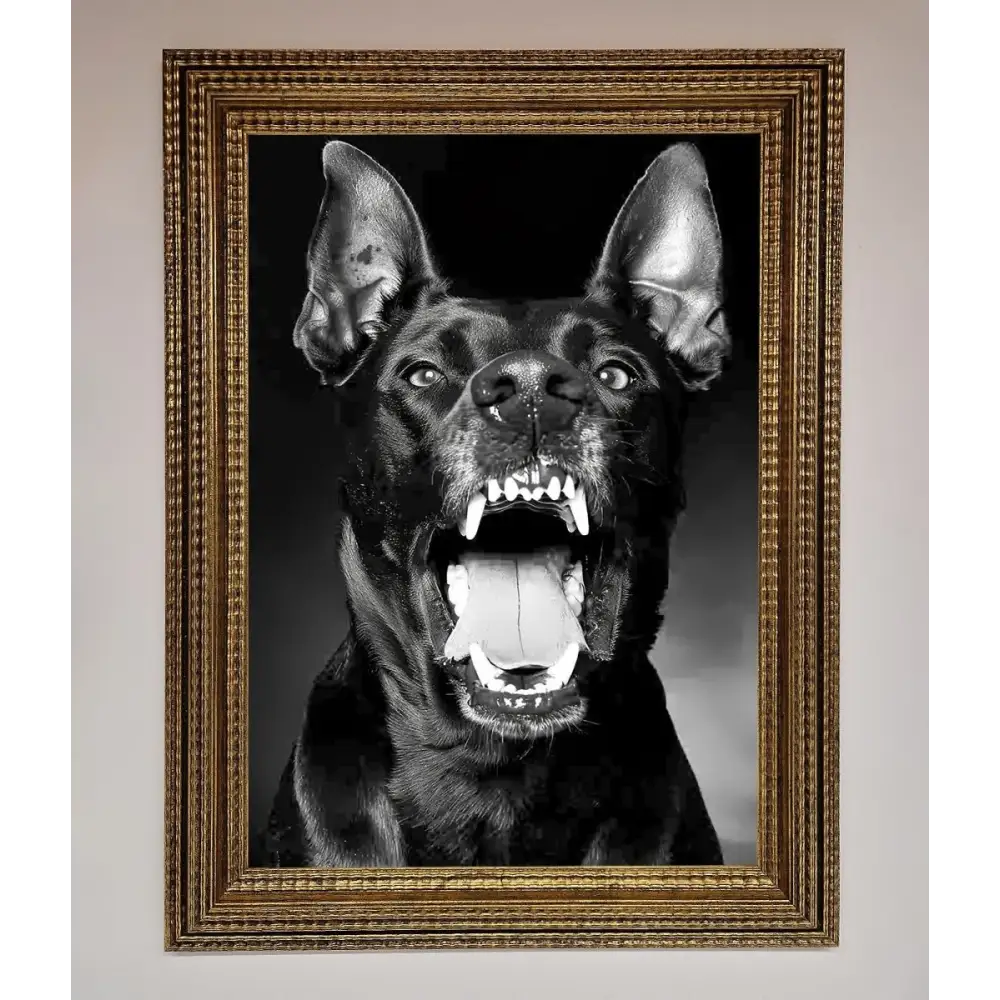Angry Doberman Dog Framed Wall Art - A3 (29.7 x 42 cm) / Ornate Gold - Framed Print