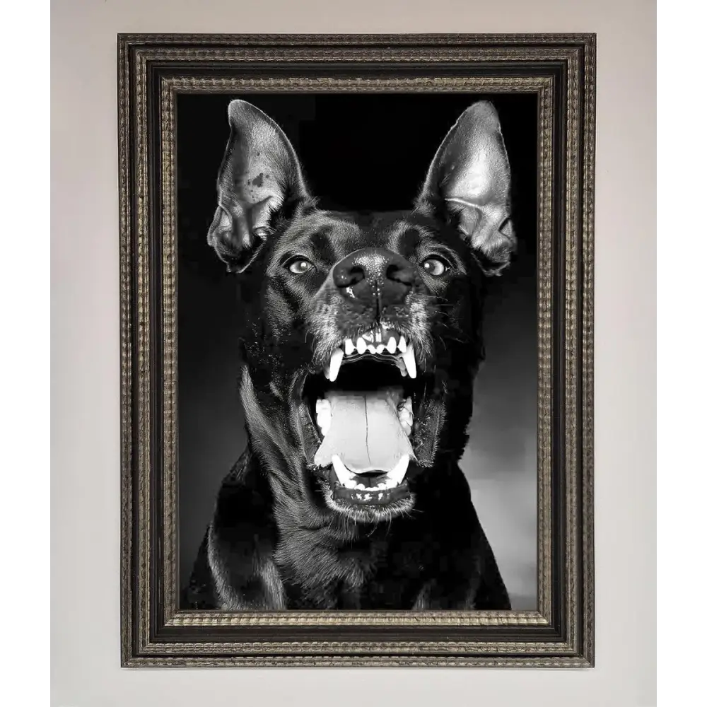 Angry Doberman Dog Framed Wall Art - A3 (29.7 x 42 cm) / Ornate Silver Black - Framed Print