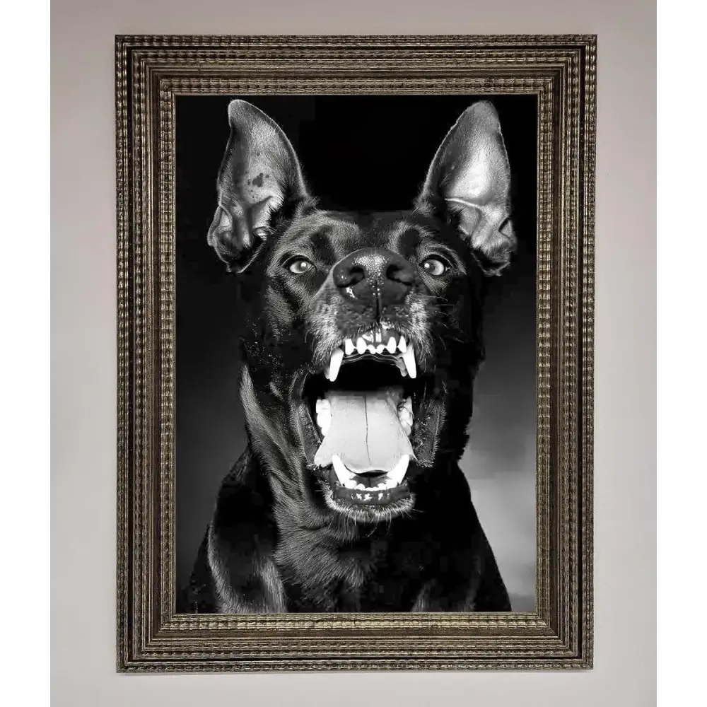 Angry Doberman Dog Framed Wall Art - A3 (29.7 x 42 cm) / Ornate Silver - Framed Print