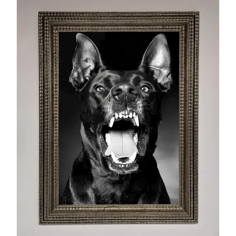 Angry Doberman Dog Framed Wall Art - A3 (29.7 x 42 cm) / Ornate Silver - Framed Print
