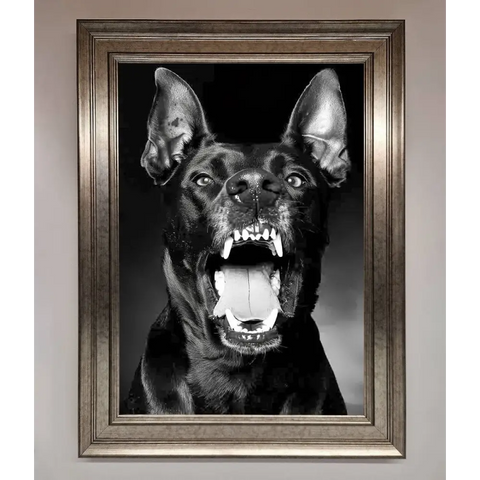 Angry Doberman Dog Framed Wall Art - A3 (29.7 x 42 cm) / Silver - Framed Print