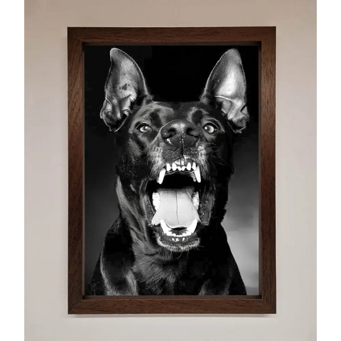 Angry Doberman Dog Framed Wall Art - A3 (29.7 x 42 cm) / Walnut - Framed Print