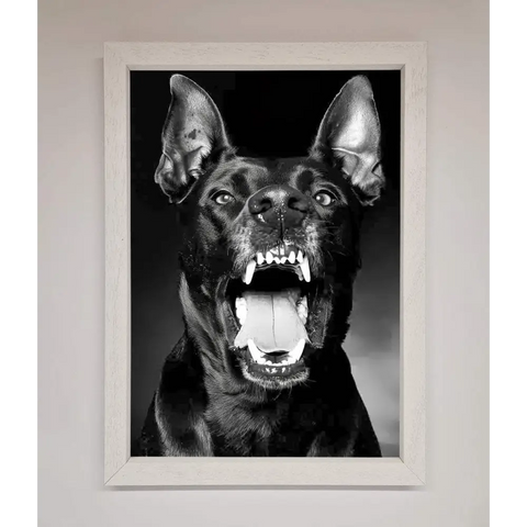 Angry Doberman Dog Framed Wall Art - A3 (29.7 x 42 cm) / White - Framed Print