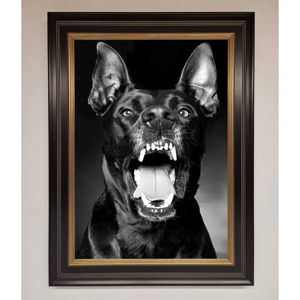 Angry Doberman Dog Framed Wall Art - B0 (100 x 141 cm) / Black Gold - Framed Print