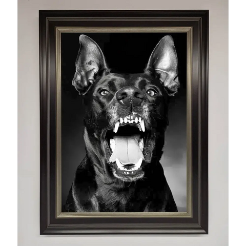 Angry Doberman Dog Framed Wall Art - B0 (100 x 141 cm) / Black Silver - Framed Print