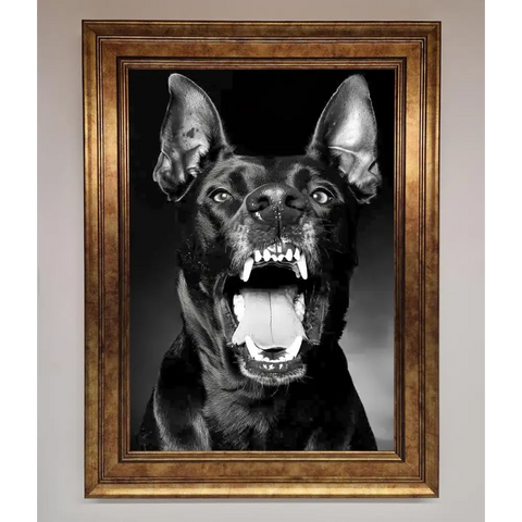 Angry Doberman Dog Framed Wall Art - B0 (100 x 141 cm) / Bronze - Framed Print