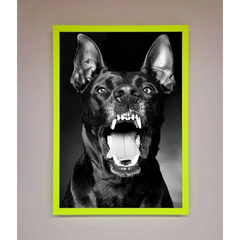 Angry Doberman Dog Framed Wall Art - B0 (100 x 141 cm) / Neon Green - Framed Print