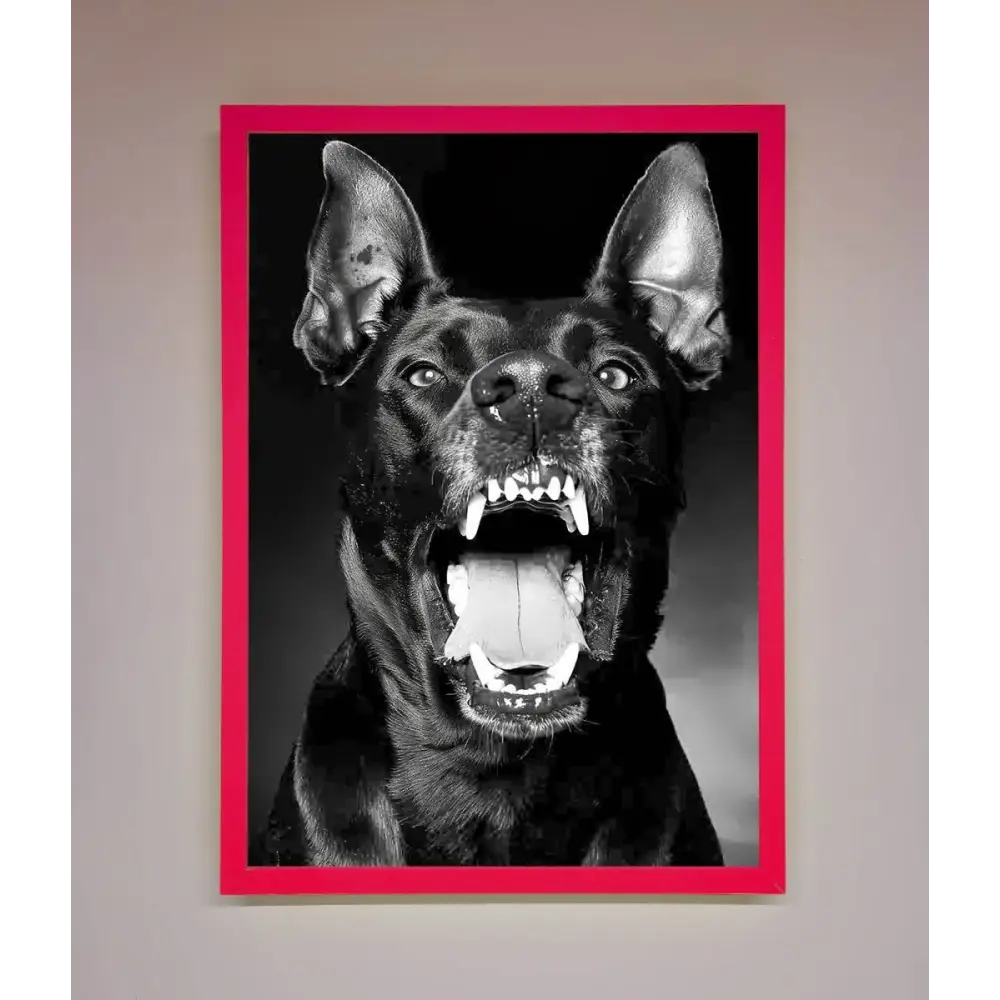 Angry Doberman Dog Framed Wall Art - B0 (100 x 141 cm) / Neon Pink - Framed Print