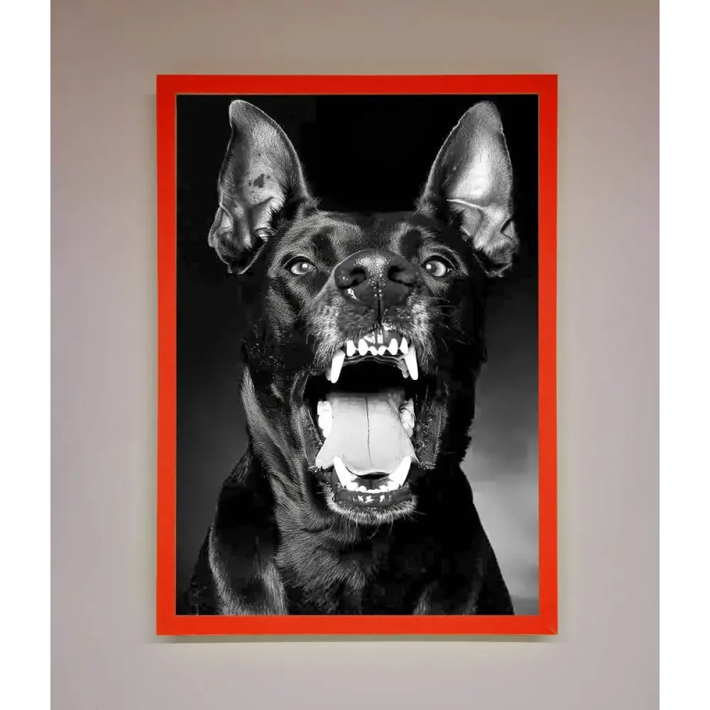 Angry Doberman Dog Framed Wall Art - B0 (100 x 141 cm) / Neon Red - Framed Print
