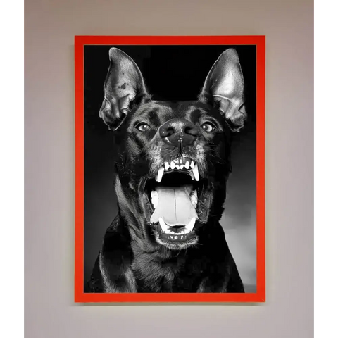 Angry Doberman Dog Framed Wall Art - B0 (100 x 141 cm) / Neon Red - Framed Print