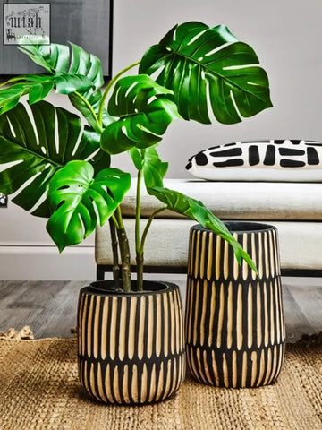 A lush green monstera plant in a small engraved natural and black striped ceramic planter pot