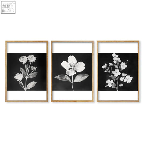 Set of three black and white floral art prints in light wood frames perfect for kitchen wall art decor