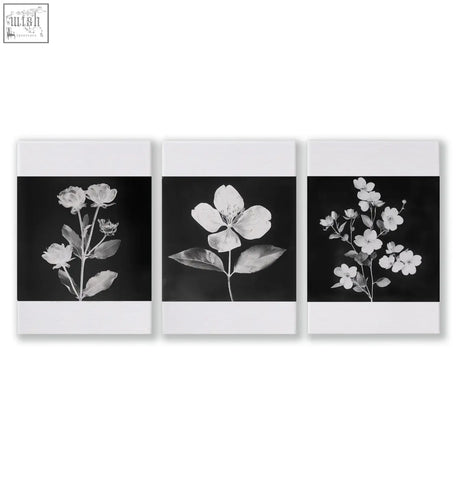 Set of three black and white floral canvas art prints with white borders perfect for kitchen wall decor and wall art
