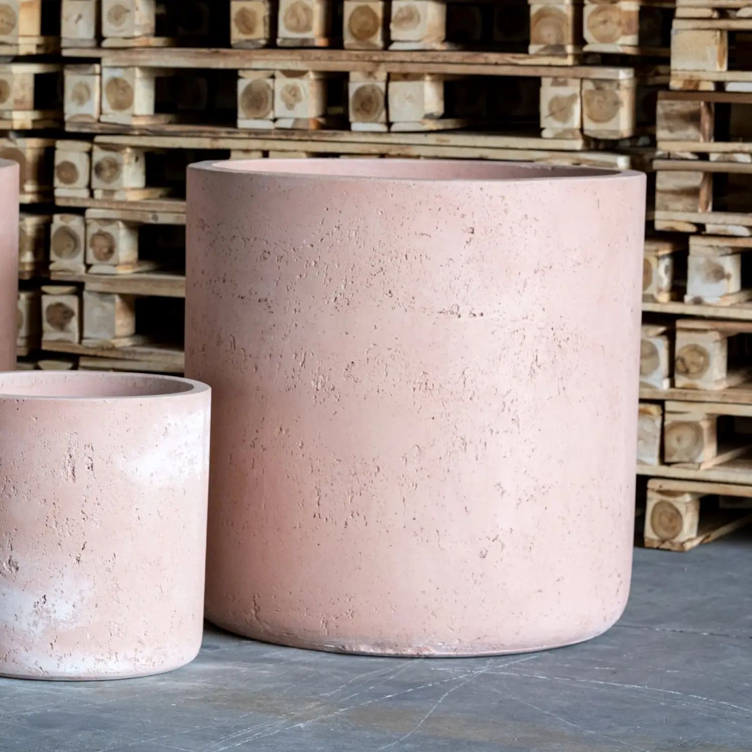 Rustic blushstone colourway aurella 20cm medium concrete cylinder planter with textured matte finish works beautifully on kitchen counters