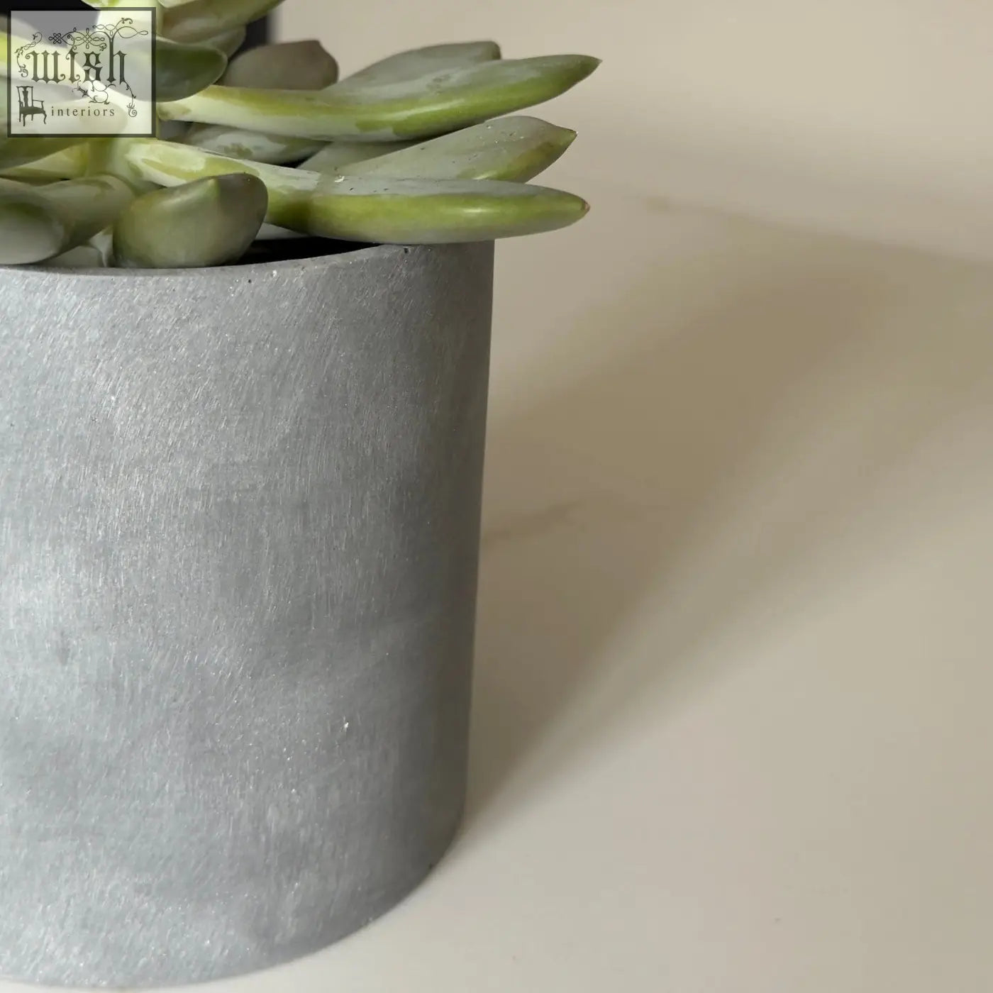 Brushed grey stone resin plant pot with green succulent indoor planter from aurello set of 2
