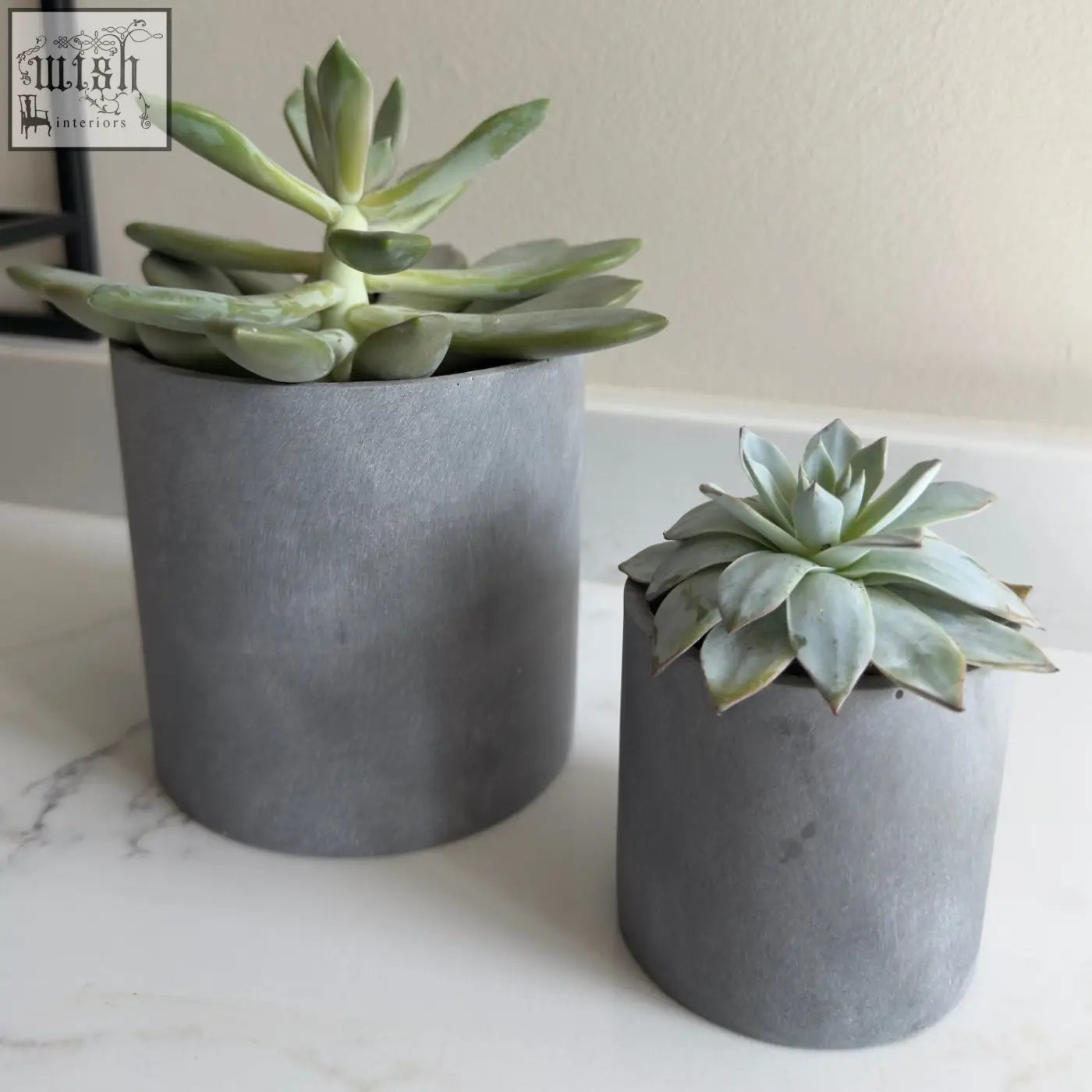 Two brushed grey stone resin indoor plant pots with pale green succulents in a set of 2 by aurello