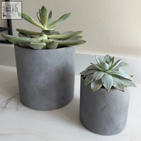 Two brushed grey stone resin indoor plant pots with pale green succulents in a set of 2 by aurello
