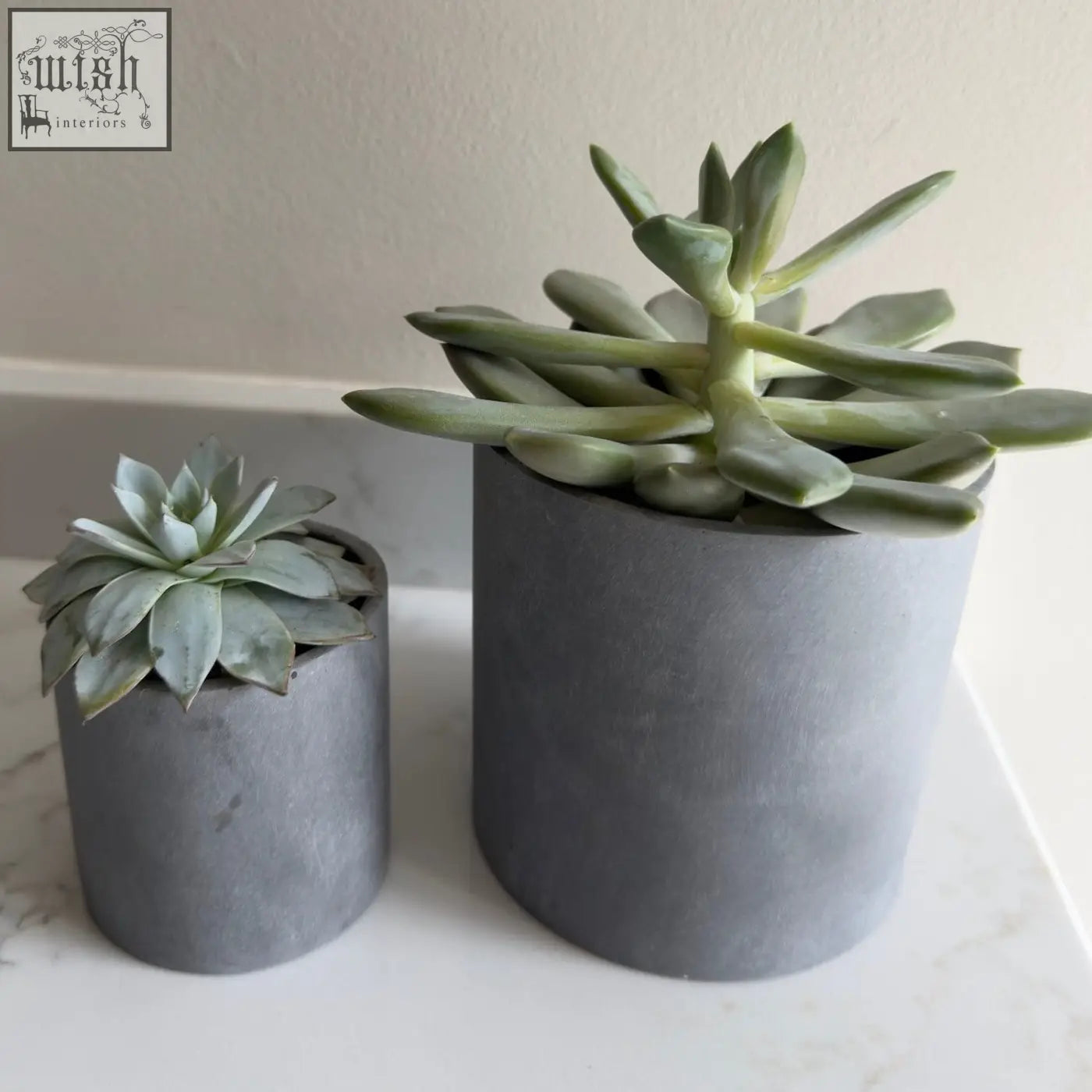 Two brushed grey stone resin plant pots holding pale green succulents in a set of 2 for indoor use