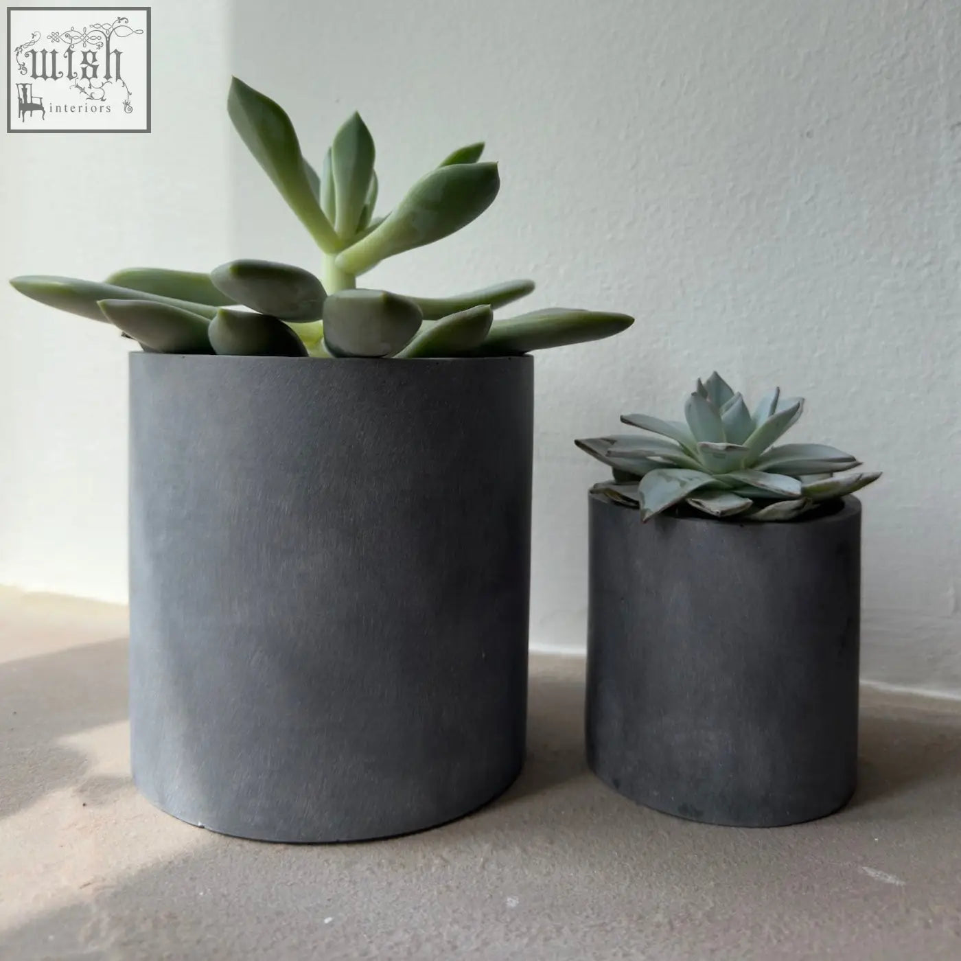 Two matte black cylindrical plant pots made of brushed grey stone resin holding different indoor succulents