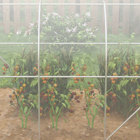 Outsunny Polytunnel Greenhouse Walk-in Grow House with PE Cover, Door and Galvanised Steel Frame, 3 x 2 x 2m, Clear