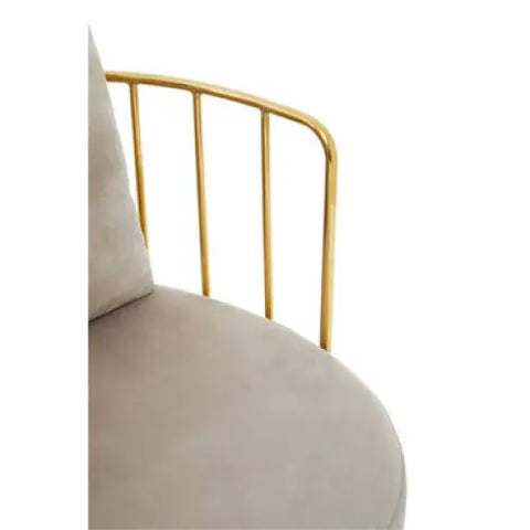 Azalea Mink Velvet Chair With Two Pillows - Arm Chair