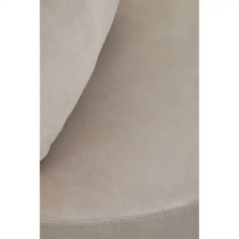 Azalea Mink Velvet Chair With Two Pillows - Arm Chair