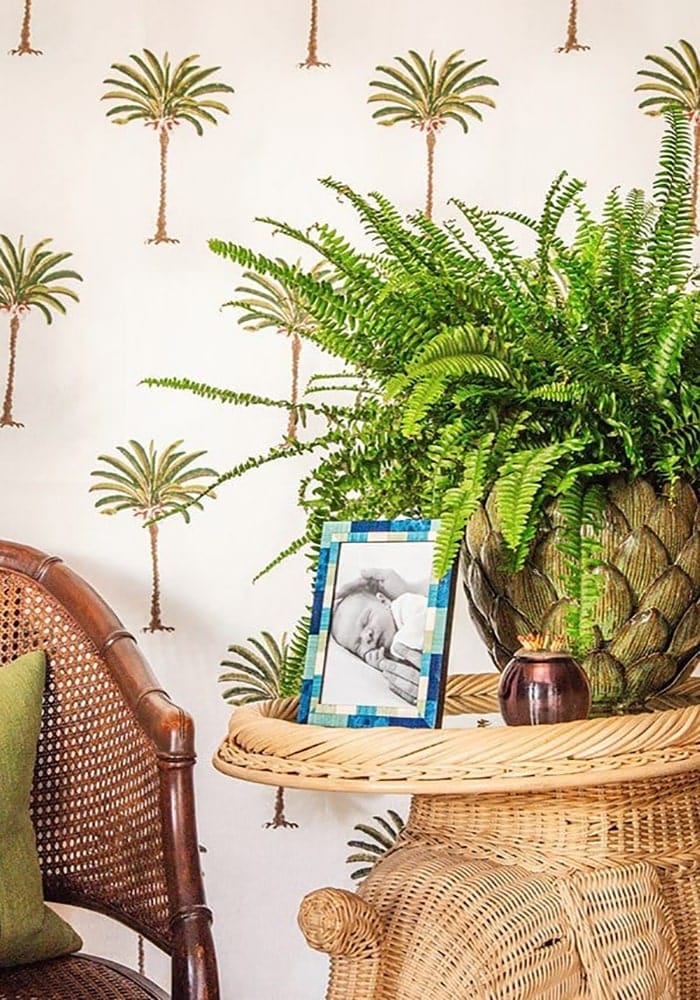 Baby blue marquetry photo frame 6x4 with lush green fern in textured artichoke-shaped ceramic pot for decor