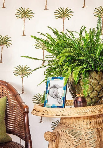 Baby blue marquetry photo frame 6x4 with lush green fern in textured artichoke-shaped ceramic pot for decor