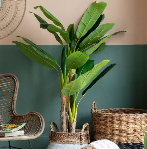 Banana Leaf Palm Tree 203cm