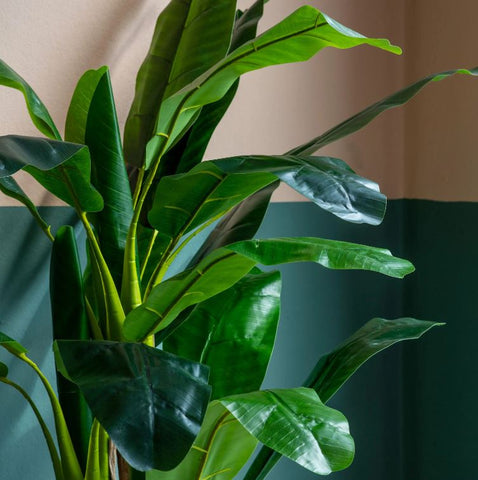 Banana Leaf Palm Tree 203cm